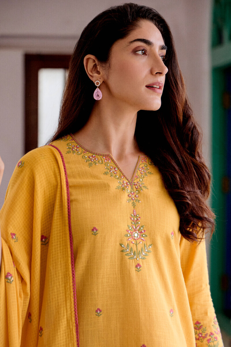 Mehraab Shanaya Kurta