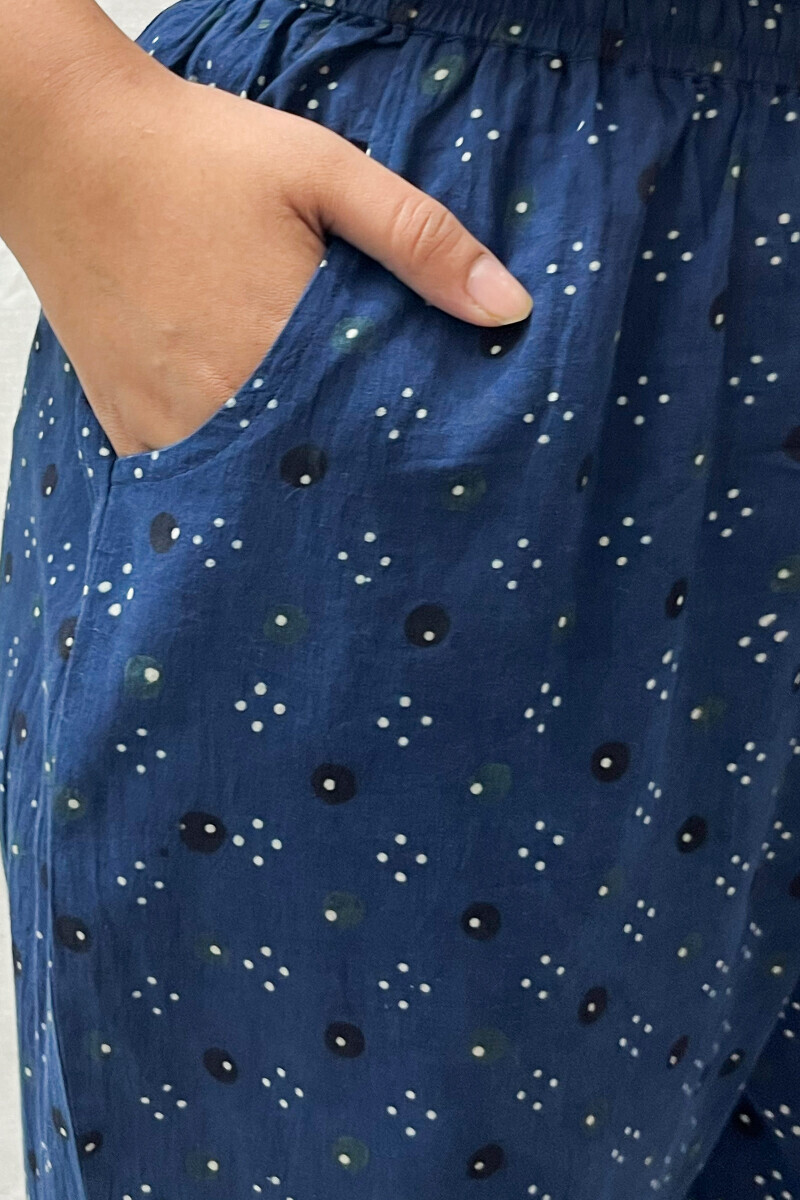 Ajrak Hand Block-Printed Cotton Narrow Pants