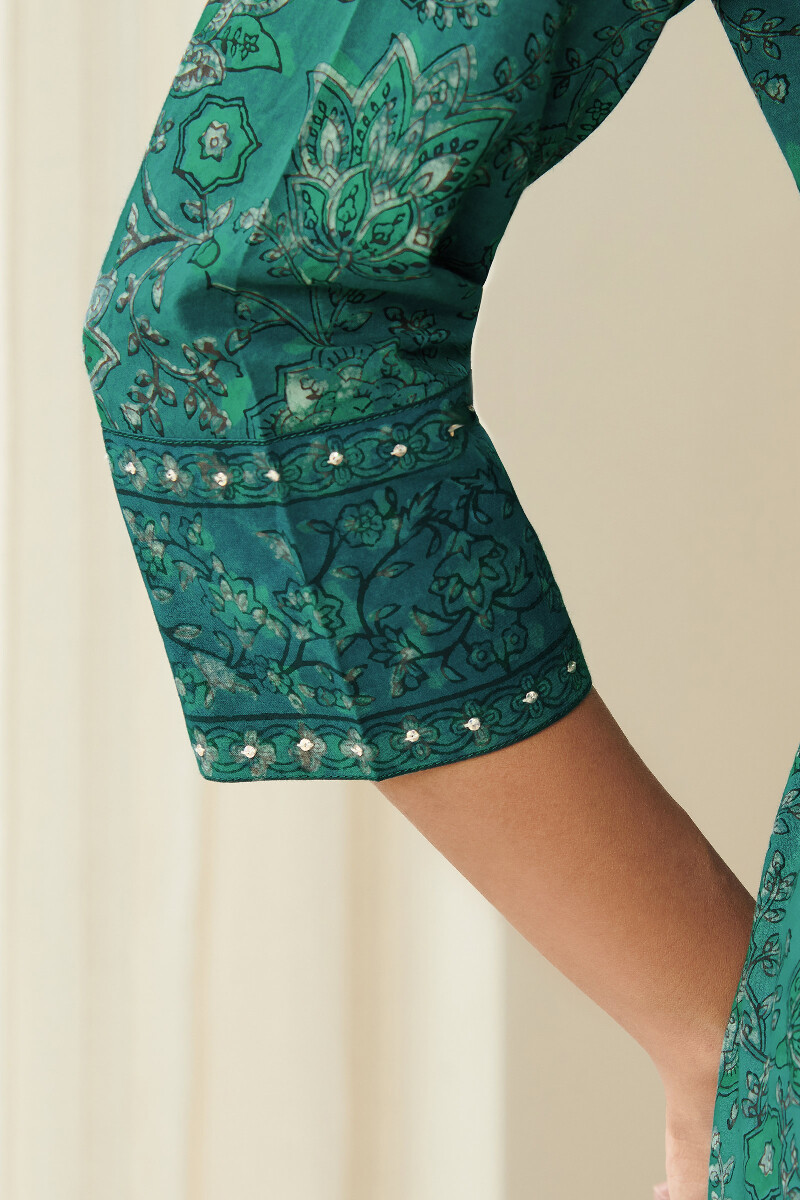 Akola Hand Block Printed Straight Cotton Kurta