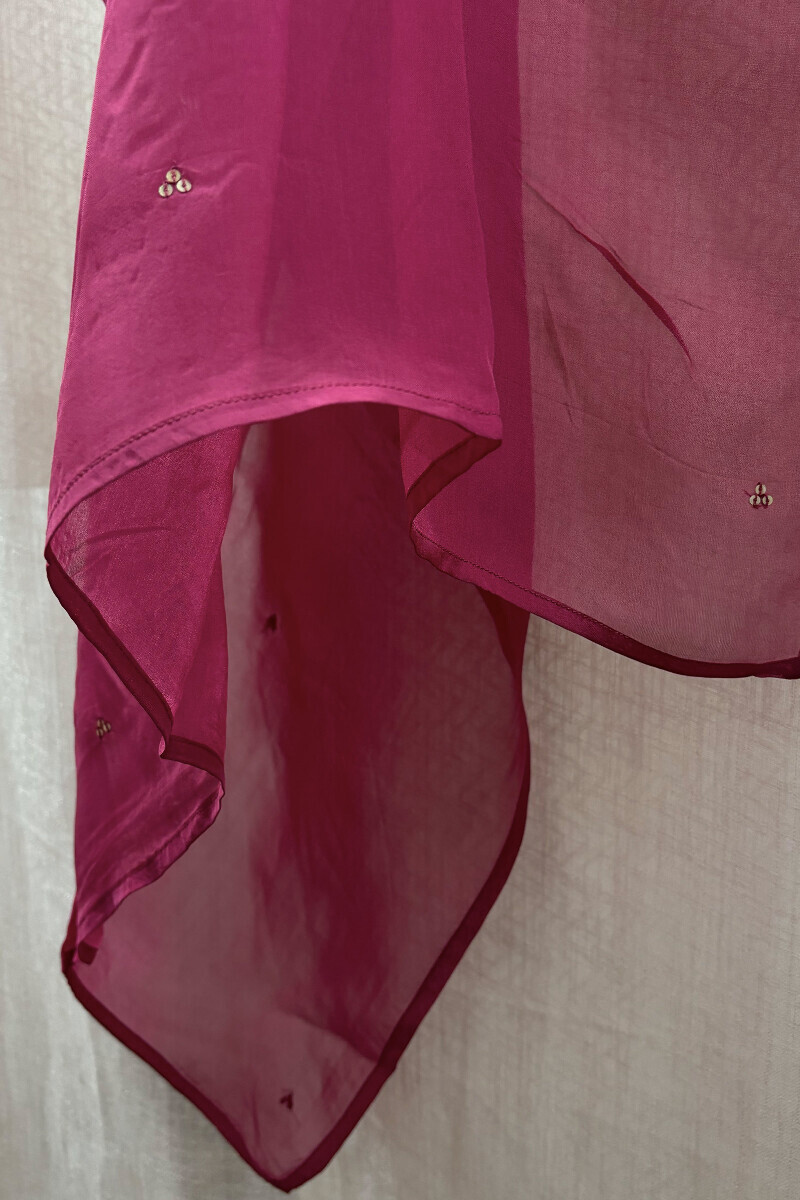 Handcrafted Organza Dupattas