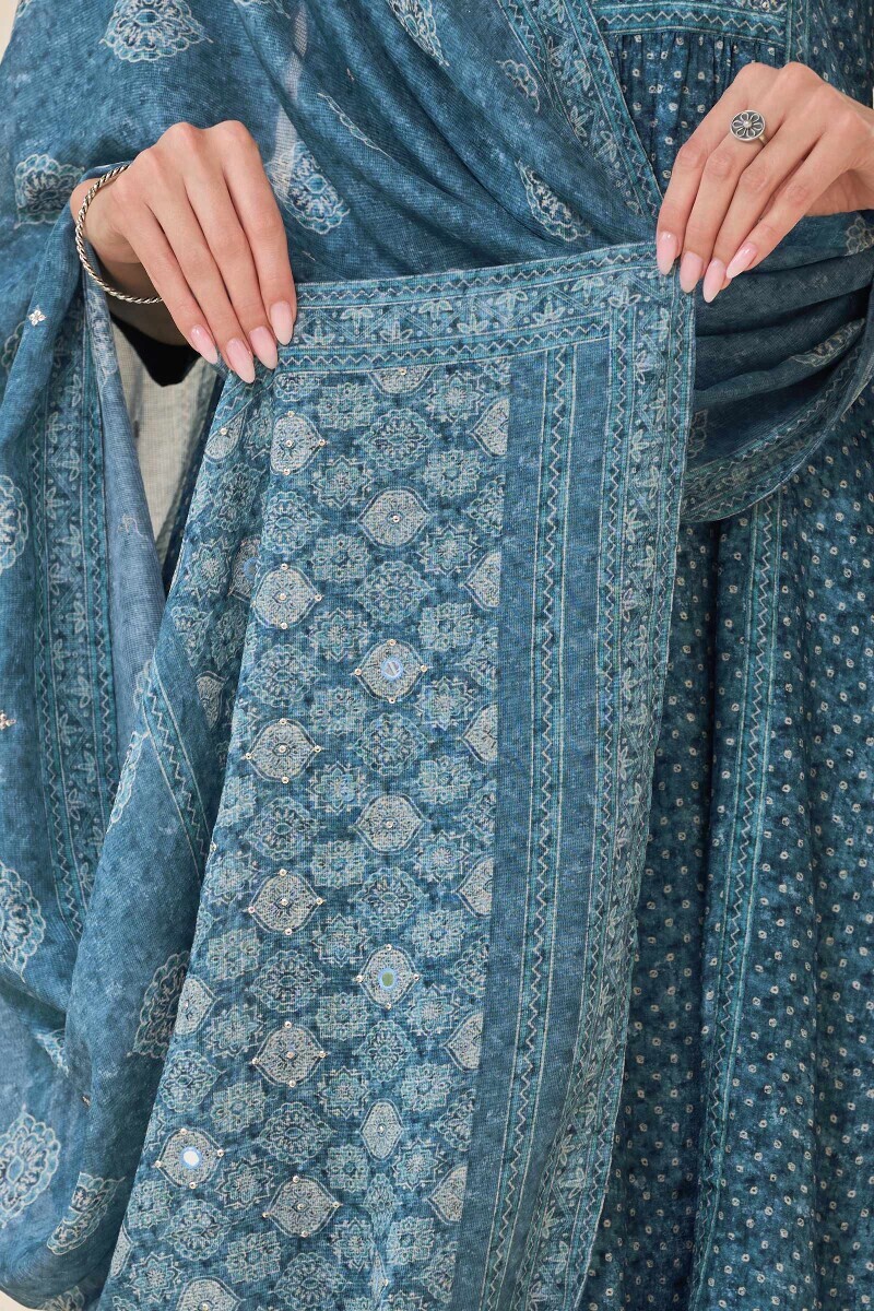 Blue Printed Tabby Check Dupatta