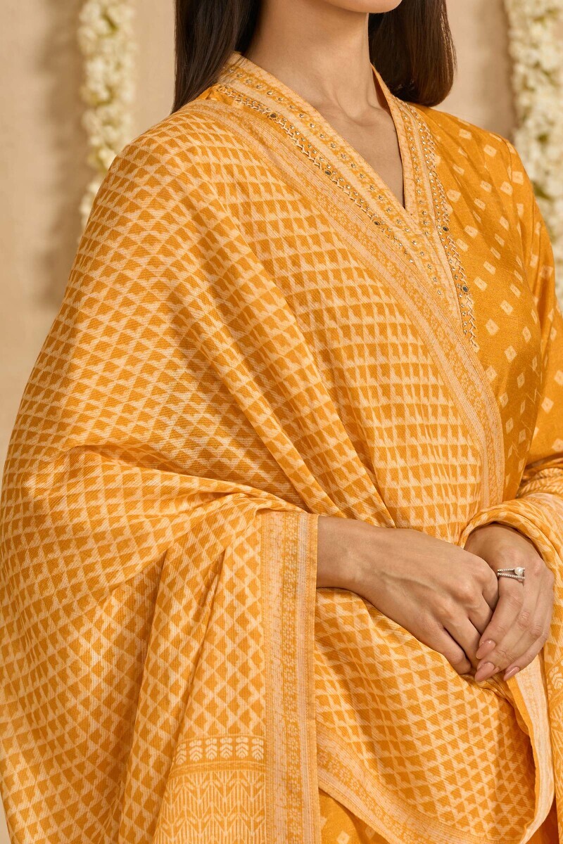 Yellow Printed Tabby Check Dupatta