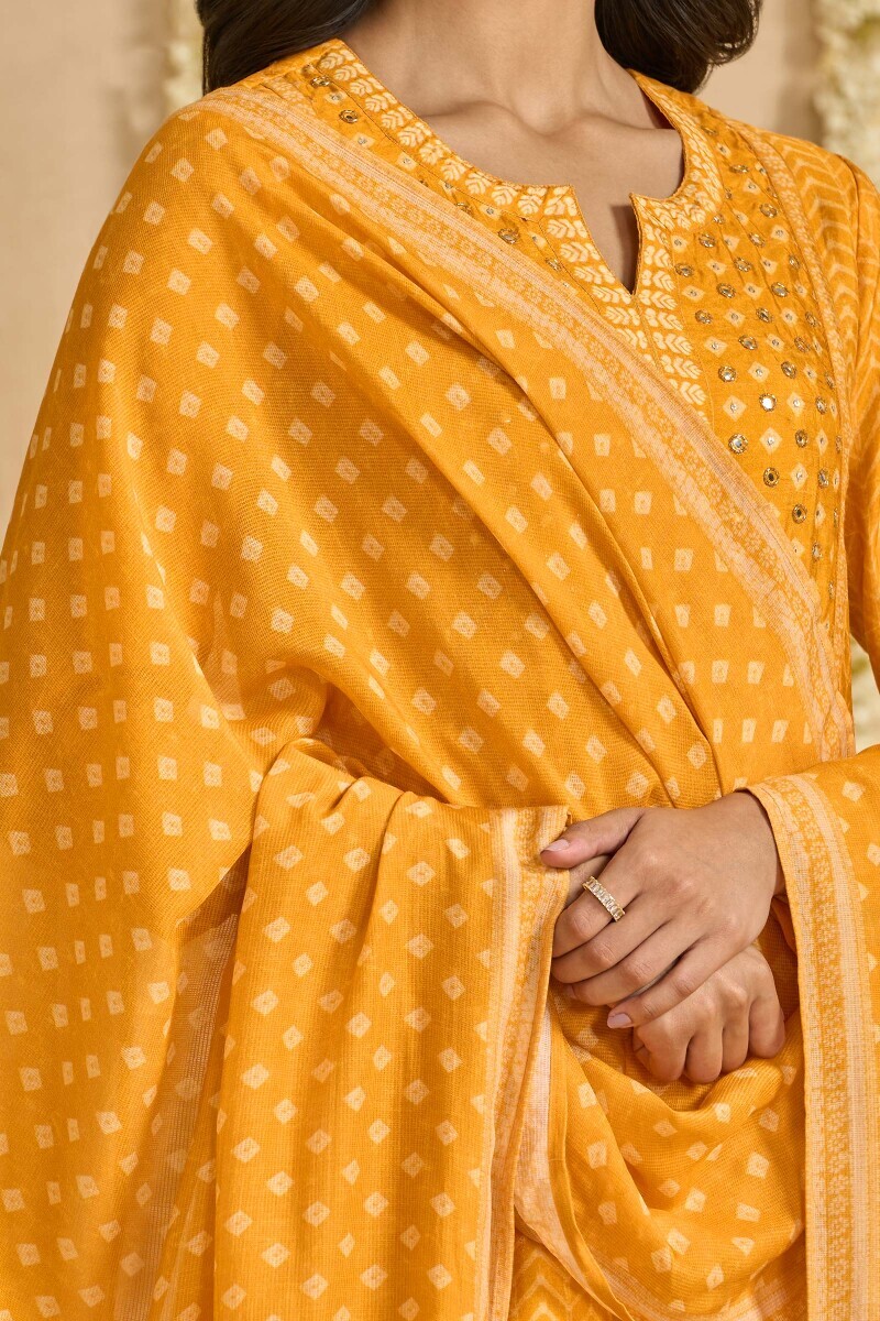 Yellow Printed Tabby Check Dupatta