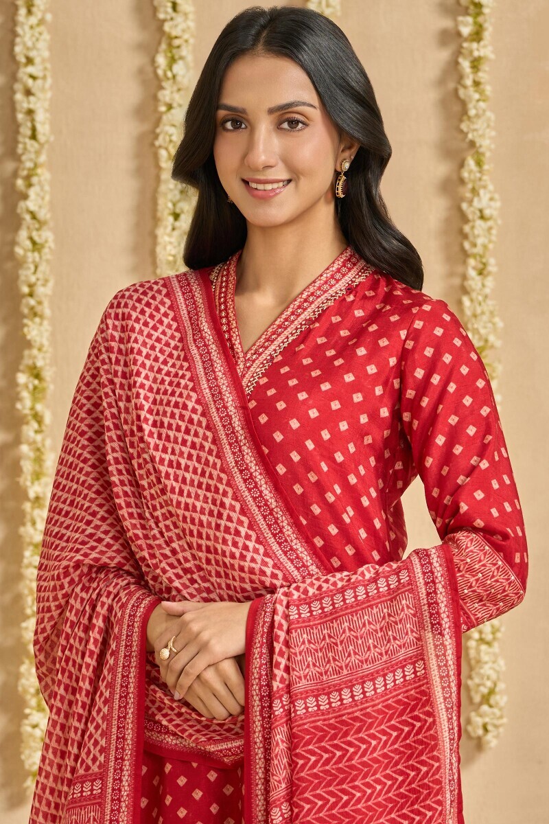 Red Printed Tabby Check Dupatta