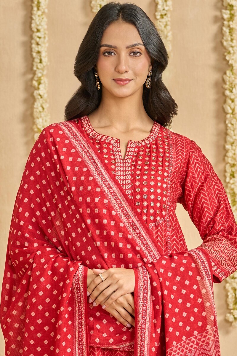 Red Printed Tabby Check Dupatta