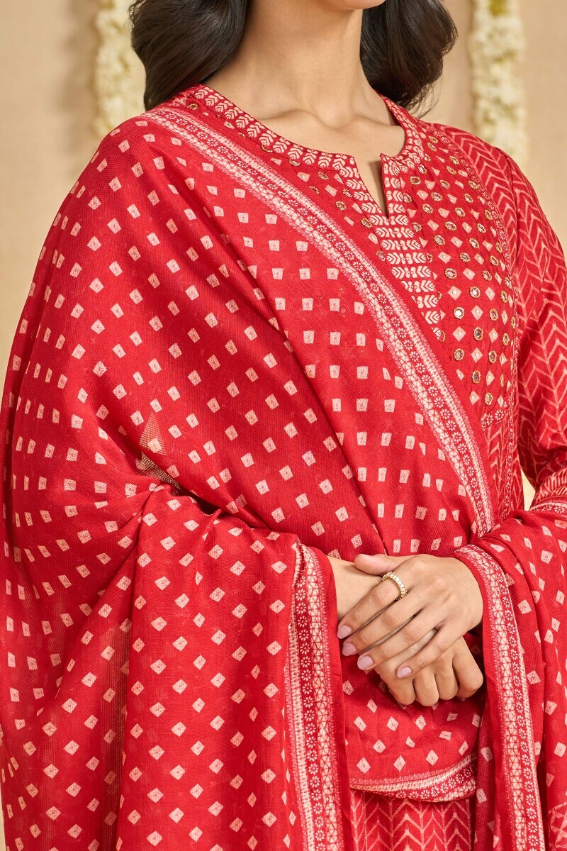 Red Printed Tabby Check Dupatta